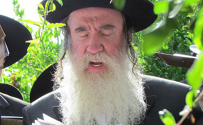 הגאון רבי מרדכי גרוס. ארכיון