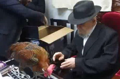 הרב מאזוז: "בראקל מהודרים כמו לבנים, מספיק מחומרות"