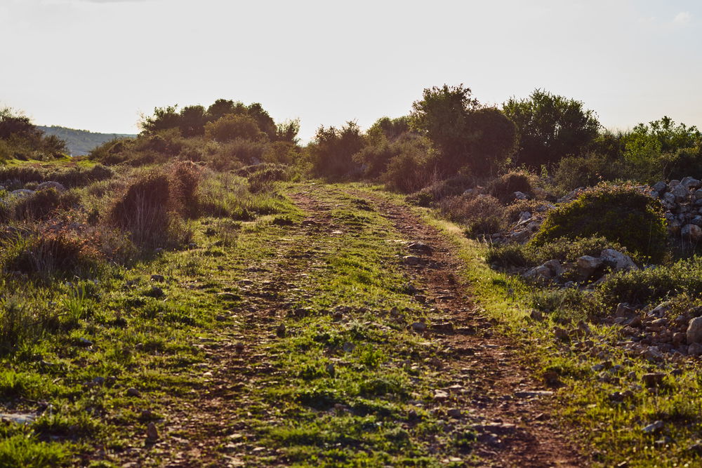 נוף הררי בשומרון