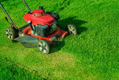 הסרת שיער בלייזר. אילוסטרציה