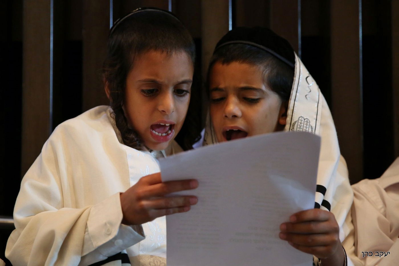 אילוסטרציה