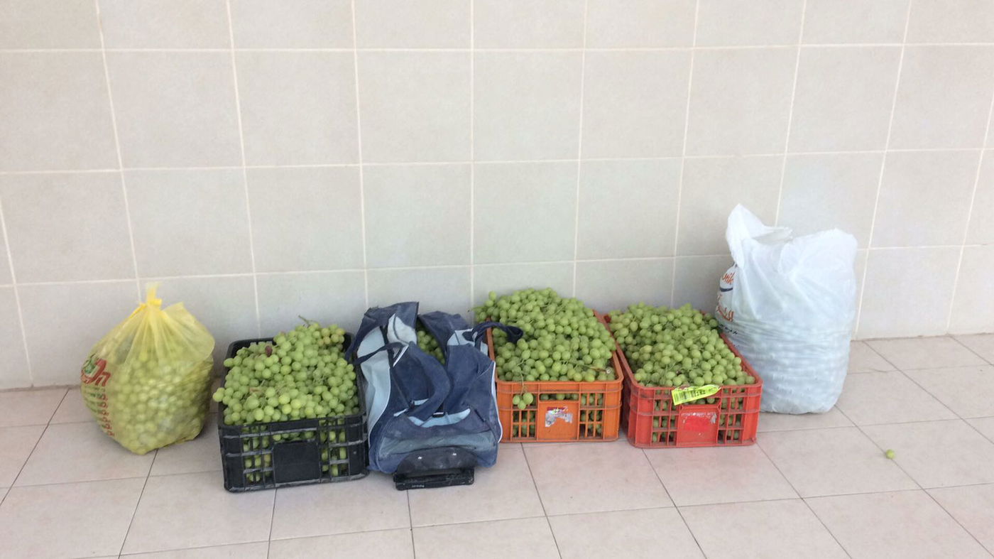 נתפסו "על חם" עם  200 ק"ג ענבים ונעצרו