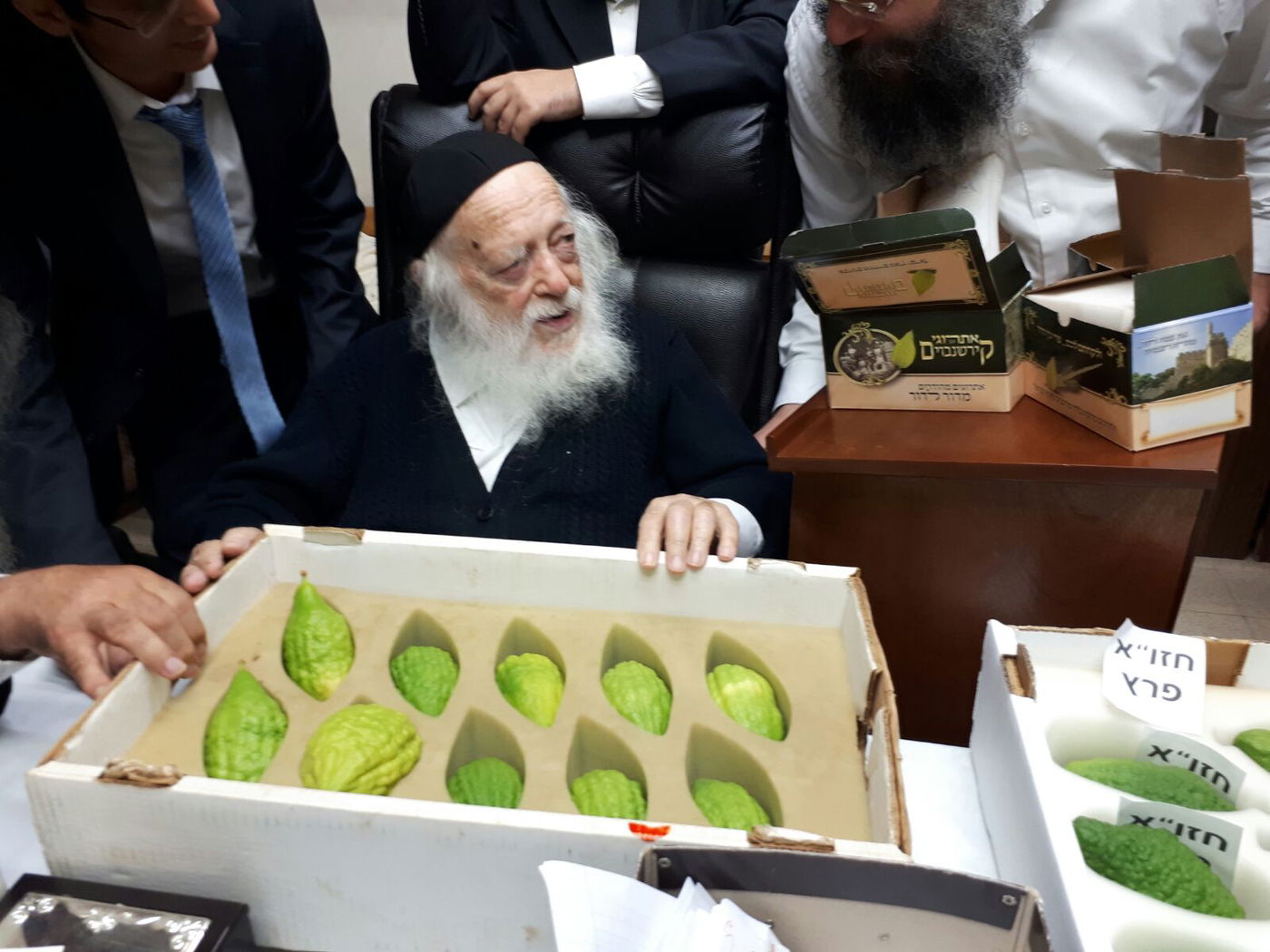 חיבוב המצווה: מרן שר התורה בחן אתרוגים