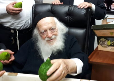 חיבוב המצווה: מרן שר התורה בחן אתרוגים