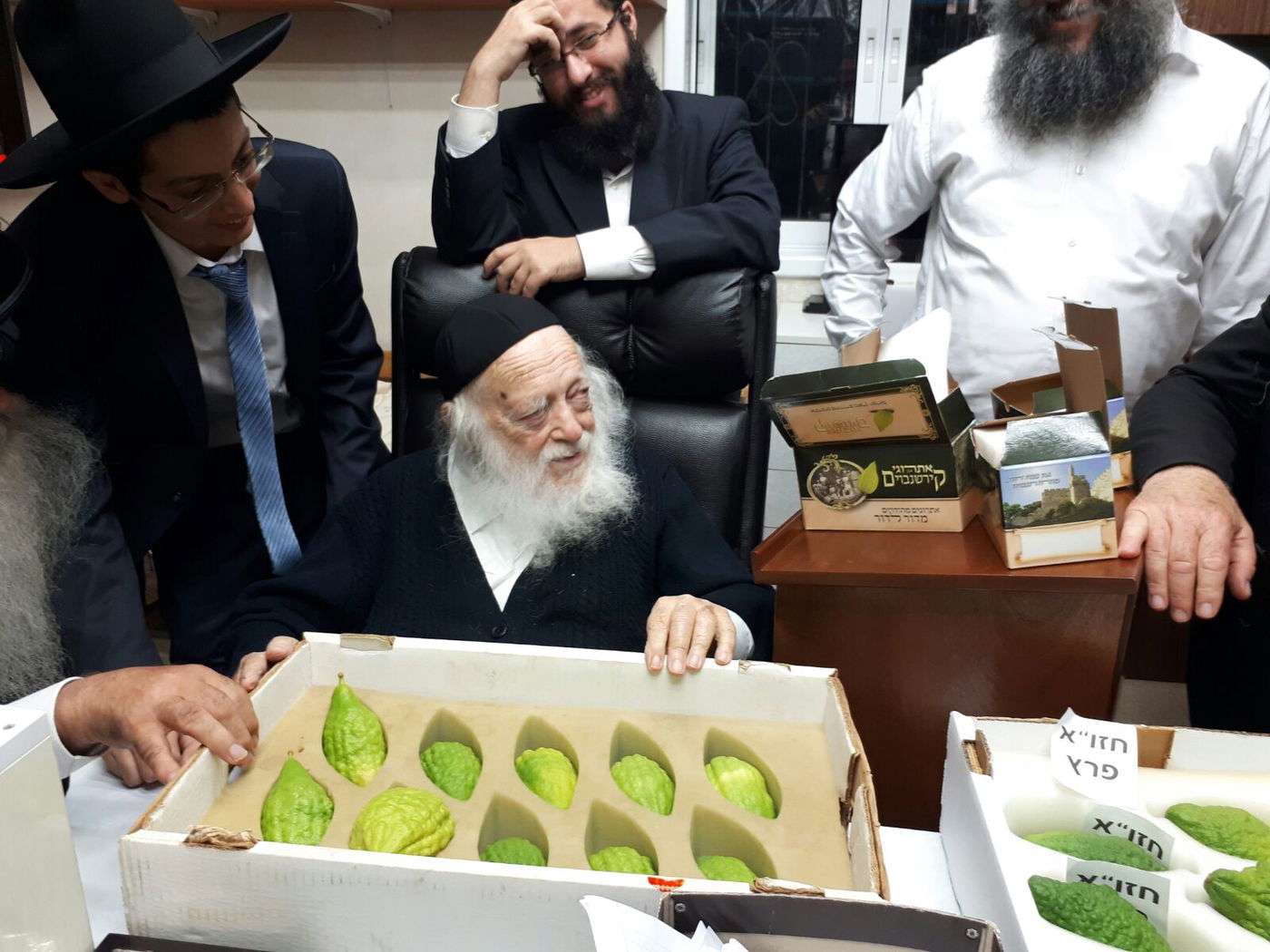 חיבוב המצווה: מרן שר התורה בחן אתרוגים