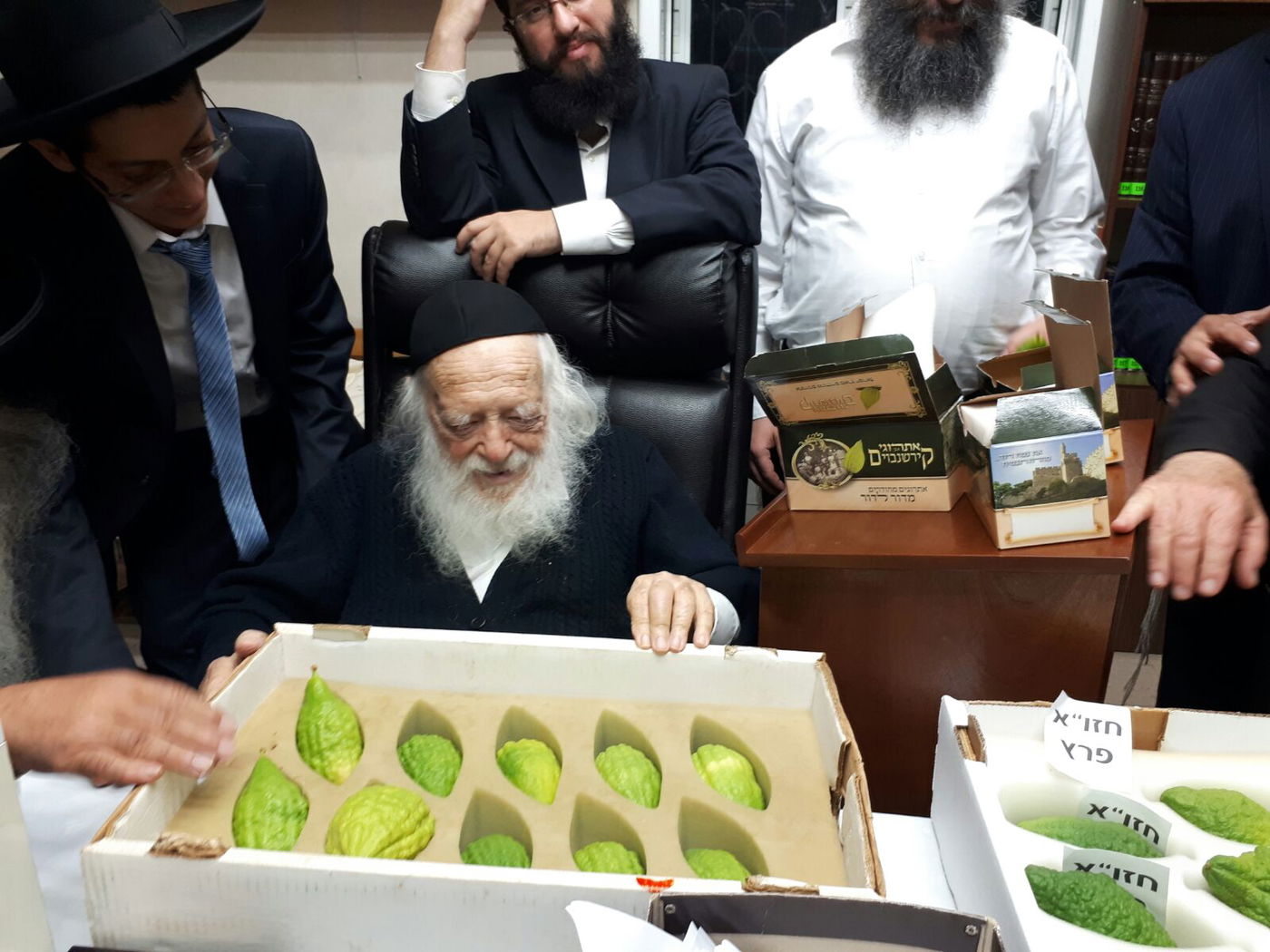 חיבוב המצווה: מרן שר התורה בחן אתרוגים