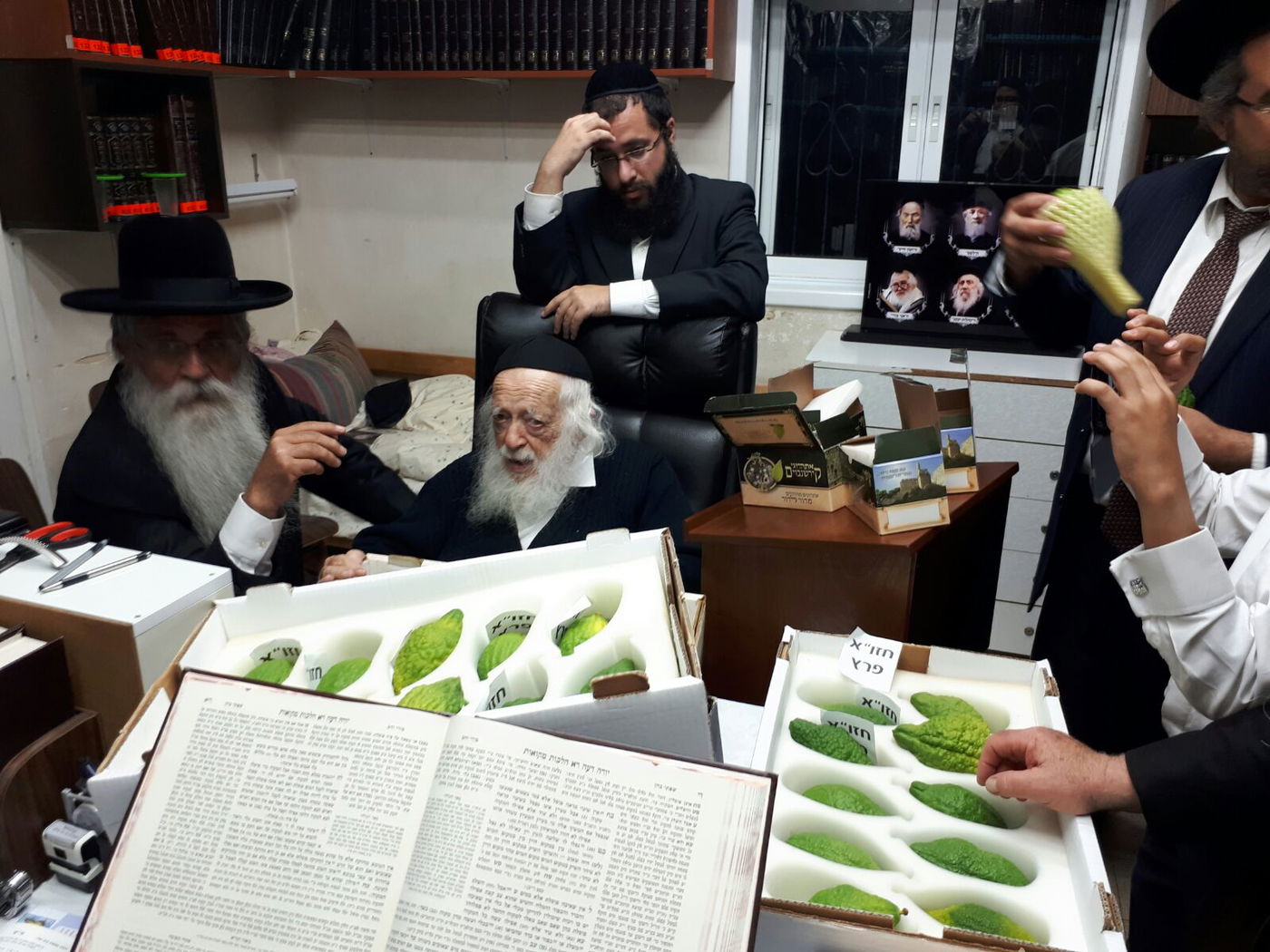 חיבוב המצווה: מרן שר התורה בחן אתרוגים