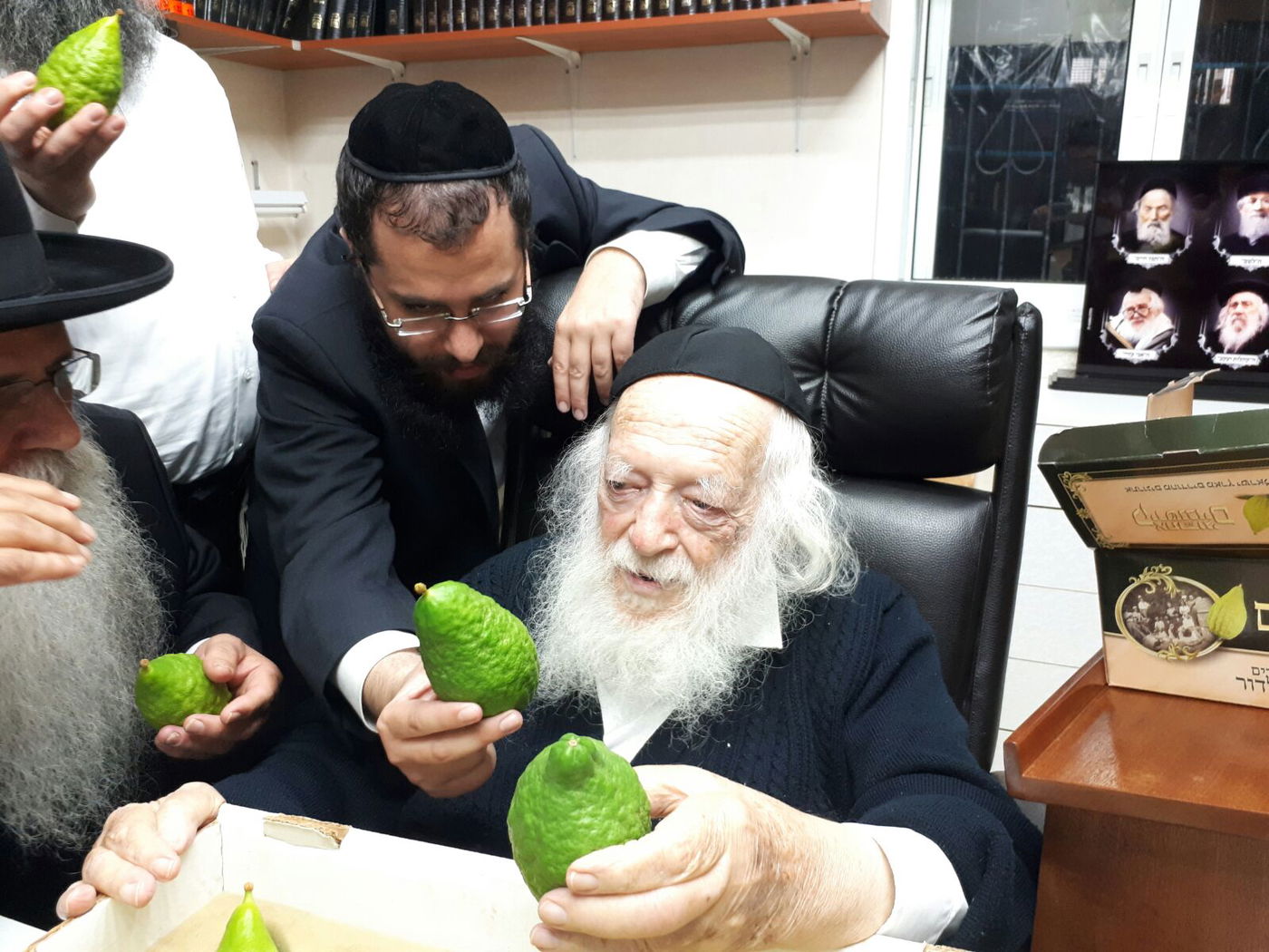 חיבוב המצווה: מרן שר התורה בחן אתרוגים