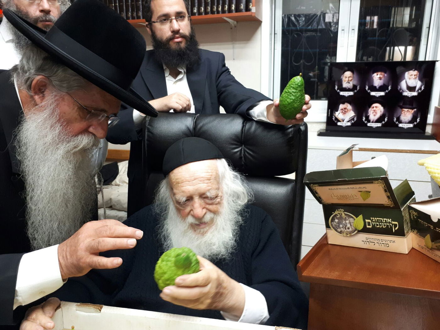 חיבוב המצווה: מרן שר התורה בחן אתרוגים