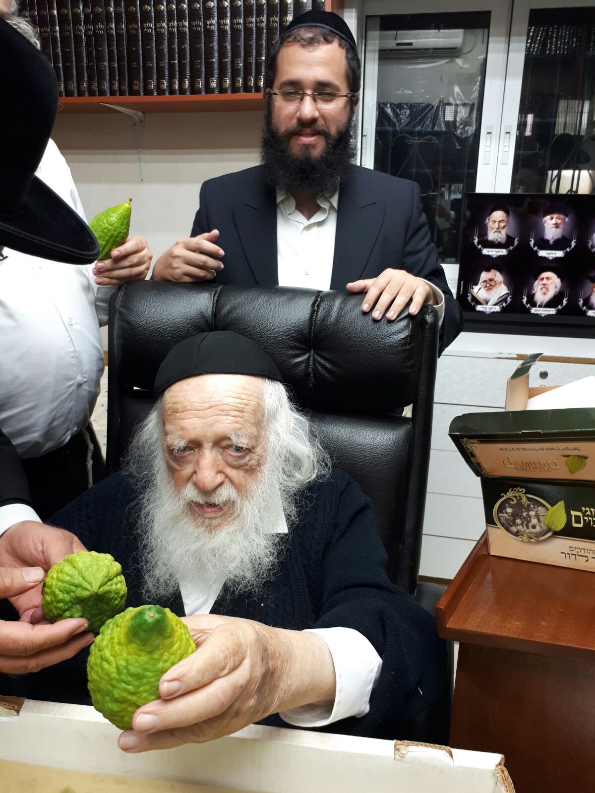 חיבוב המצווה: מרן שר התורה בחן אתרוגים