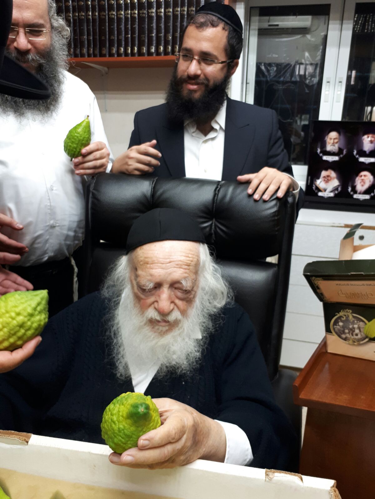 חיבוב המצווה: מרן שר התורה בחן אתרוגים