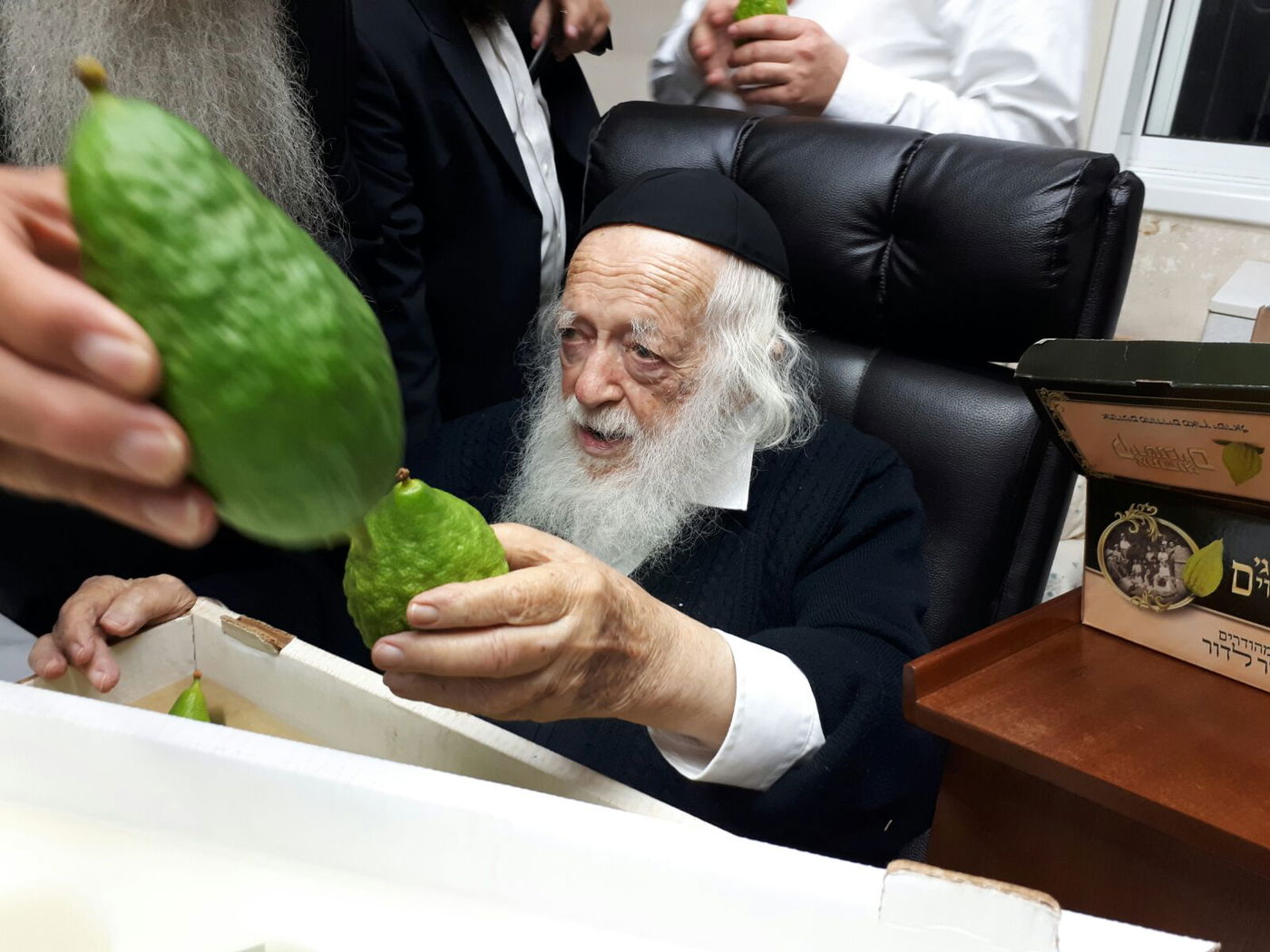 חיבוב המצווה: מרן שר התורה בחן אתרוגים
