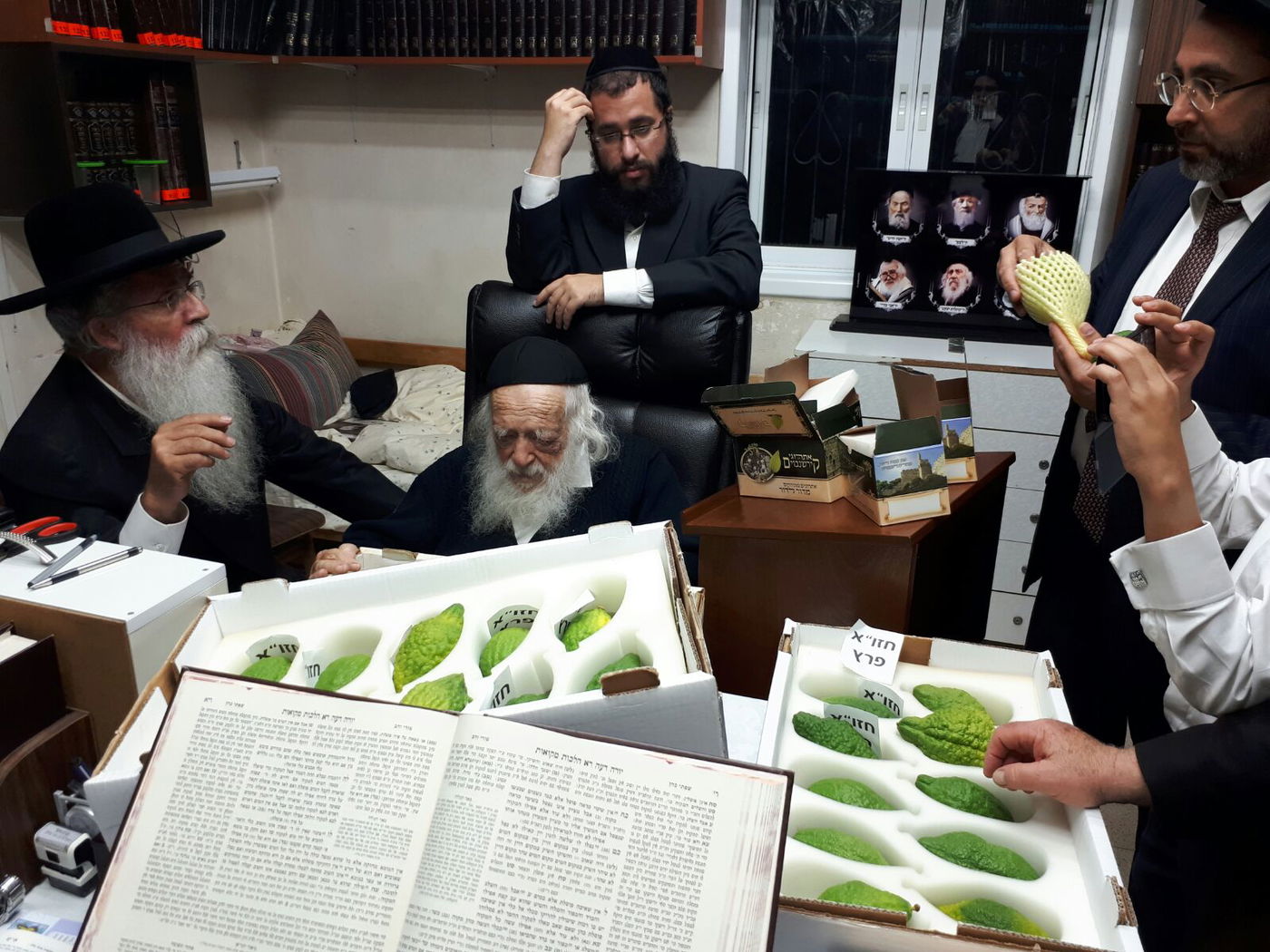 חיבוב המצווה: מרן שר התורה בחן אתרוגים