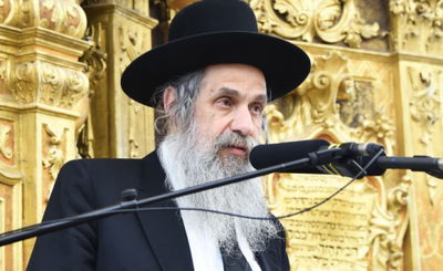 הגר"א גינזבורג