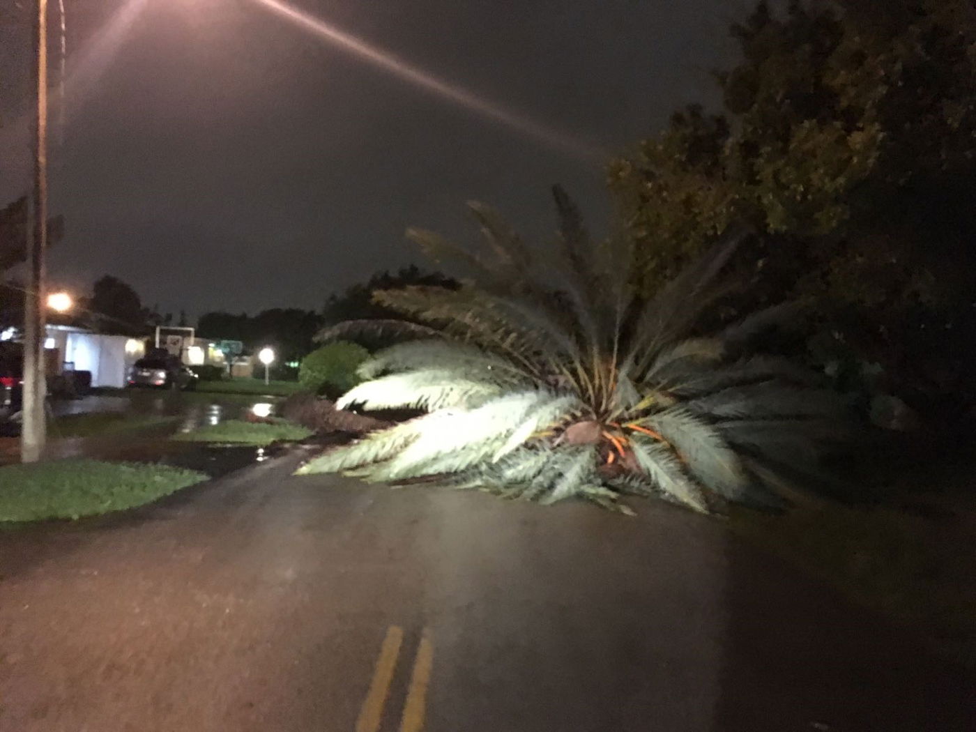 "מקווים שהקטסטרופה תהיה קטנה יותר"