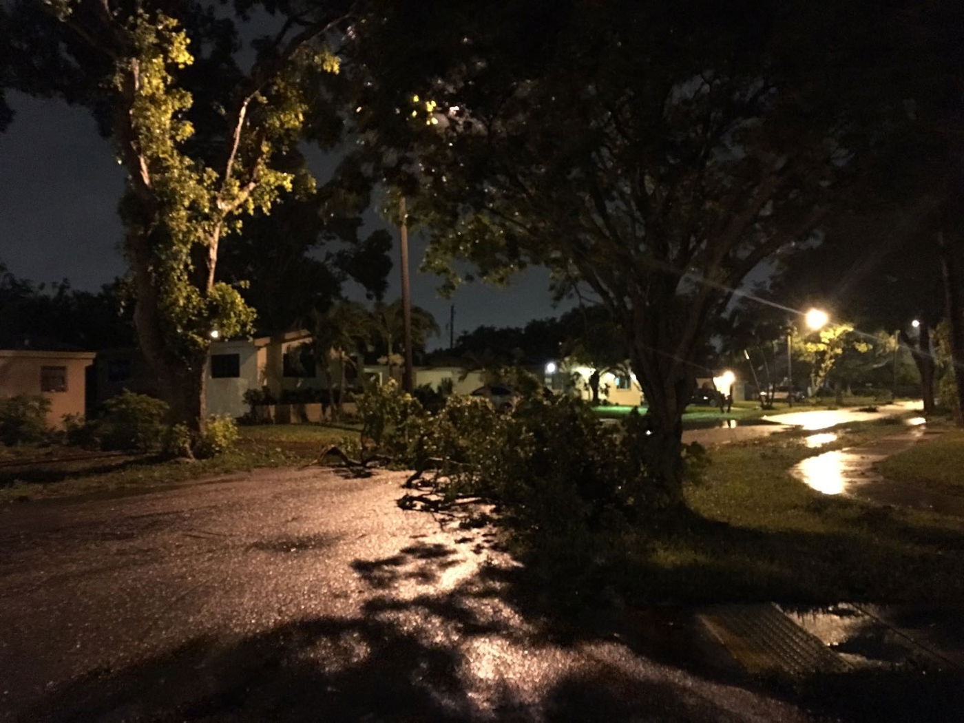 "מקווים שהקטסטרופה תהיה קטנה יותר"