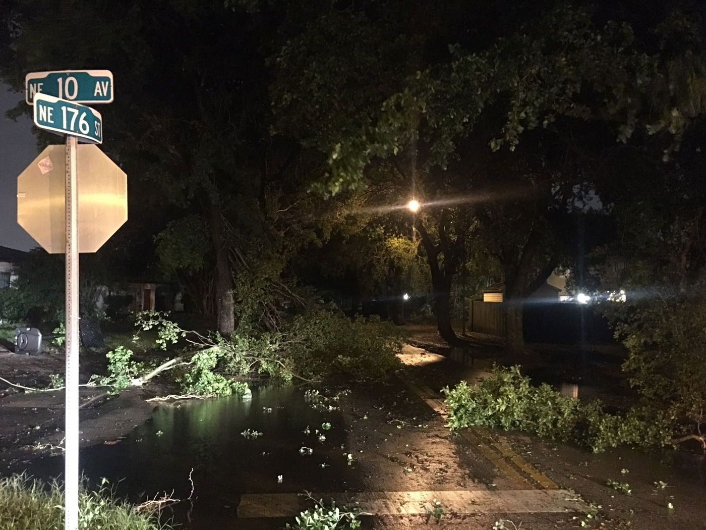 "מקווים שהקטסטרופה תהיה קטנה יותר"