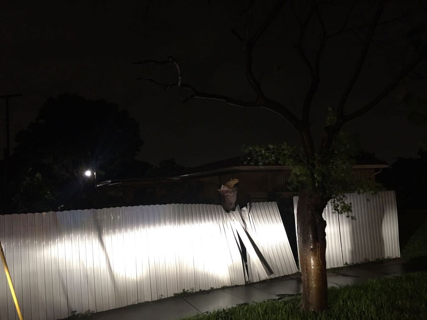 "מקווים שהקטסטרופה תהיה קטנה יותר"