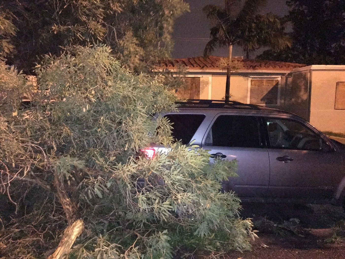 "מקווים שהקטסטרופה תהיה קטנה יותר"