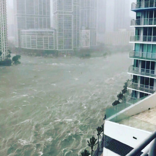 דונלד טראמפ הכריז על חלקים מפלורידה "אזור מוכה אסון"