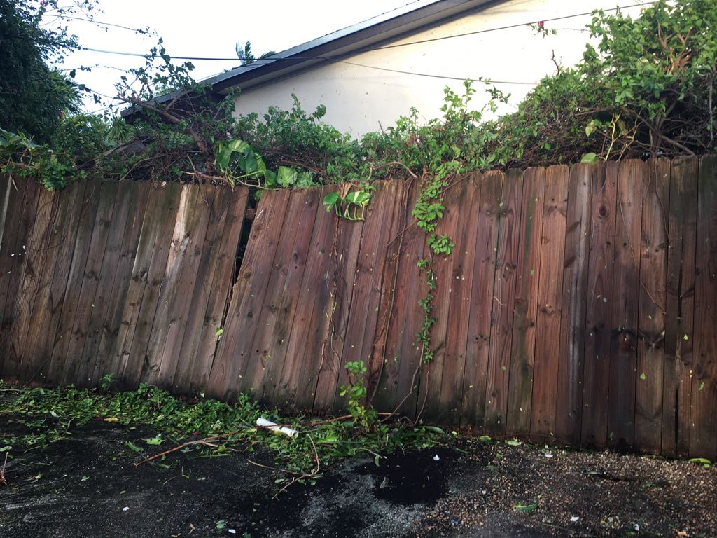 אחרי המבול: תושבי פלורידה מתעוררים להרס רב ברחובות