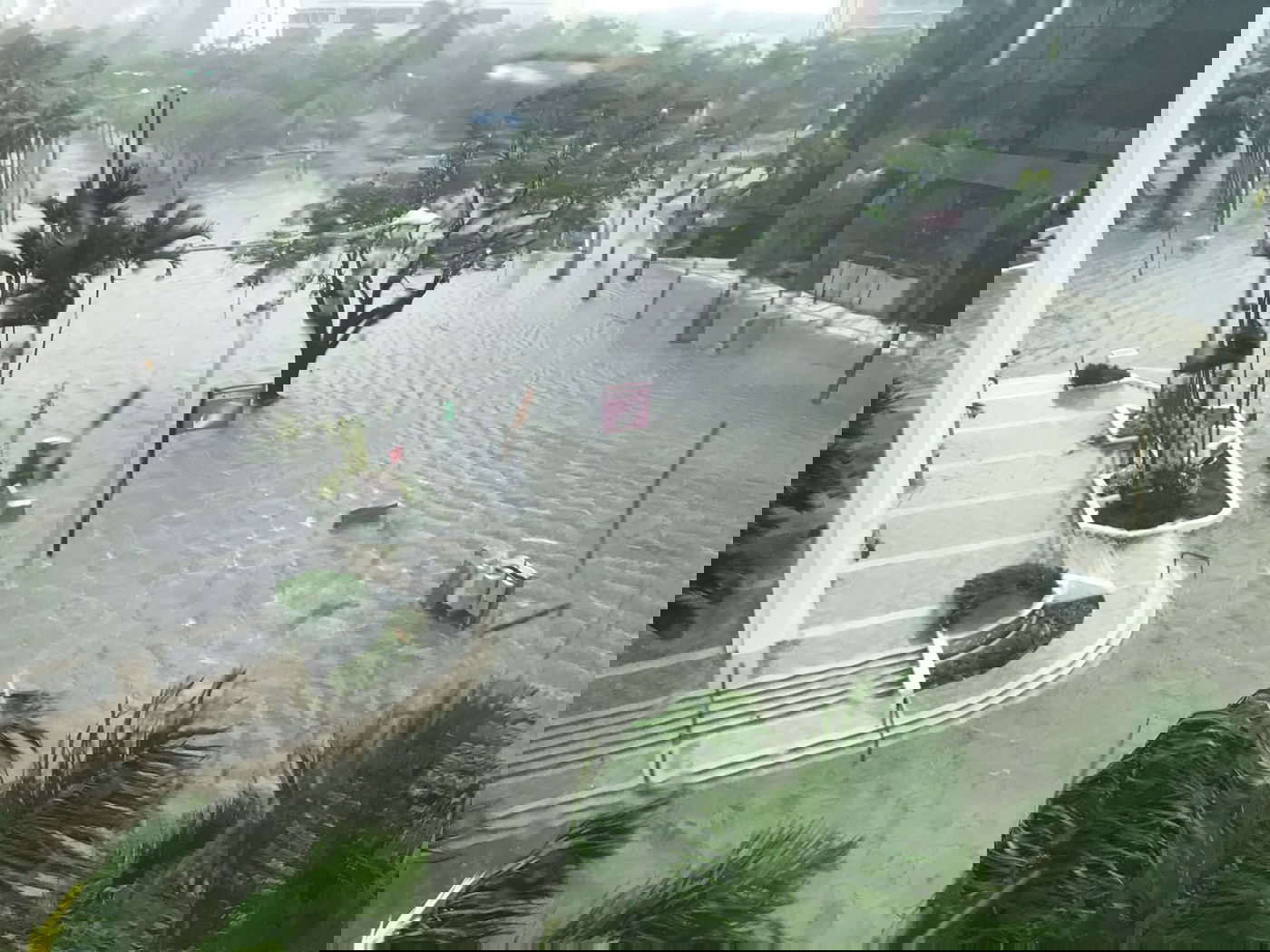 מתחילים לאמוד את הנזק האדיר בפלורידה