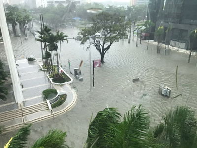 מתחילים לאמוד את הנזק האדיר בפלורידה