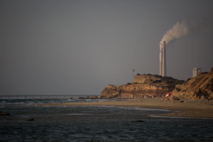 צוקי חוף מכמורת
