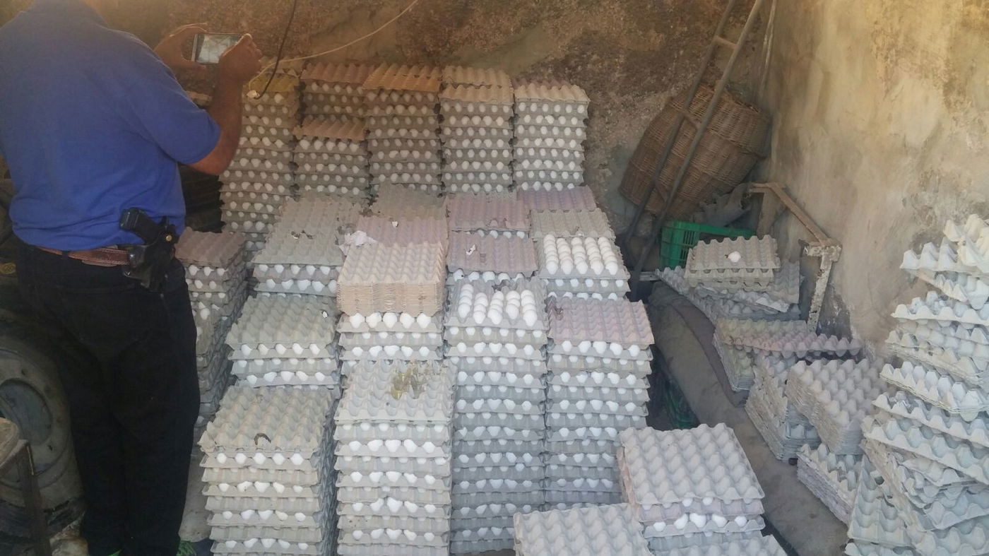 12,800 ביצים הוחרמו במחסן בבית חנינא