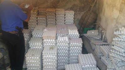 12,800 ביצים הוחרמו במחסן בבית חנינא