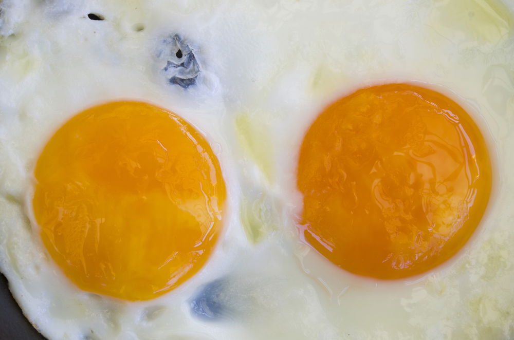 אילוסטרציה