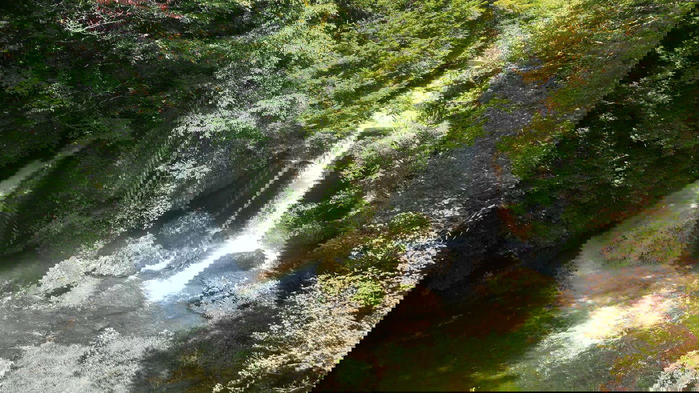 טיול מצולם ליפן המרהיבה: גלריה ענקית