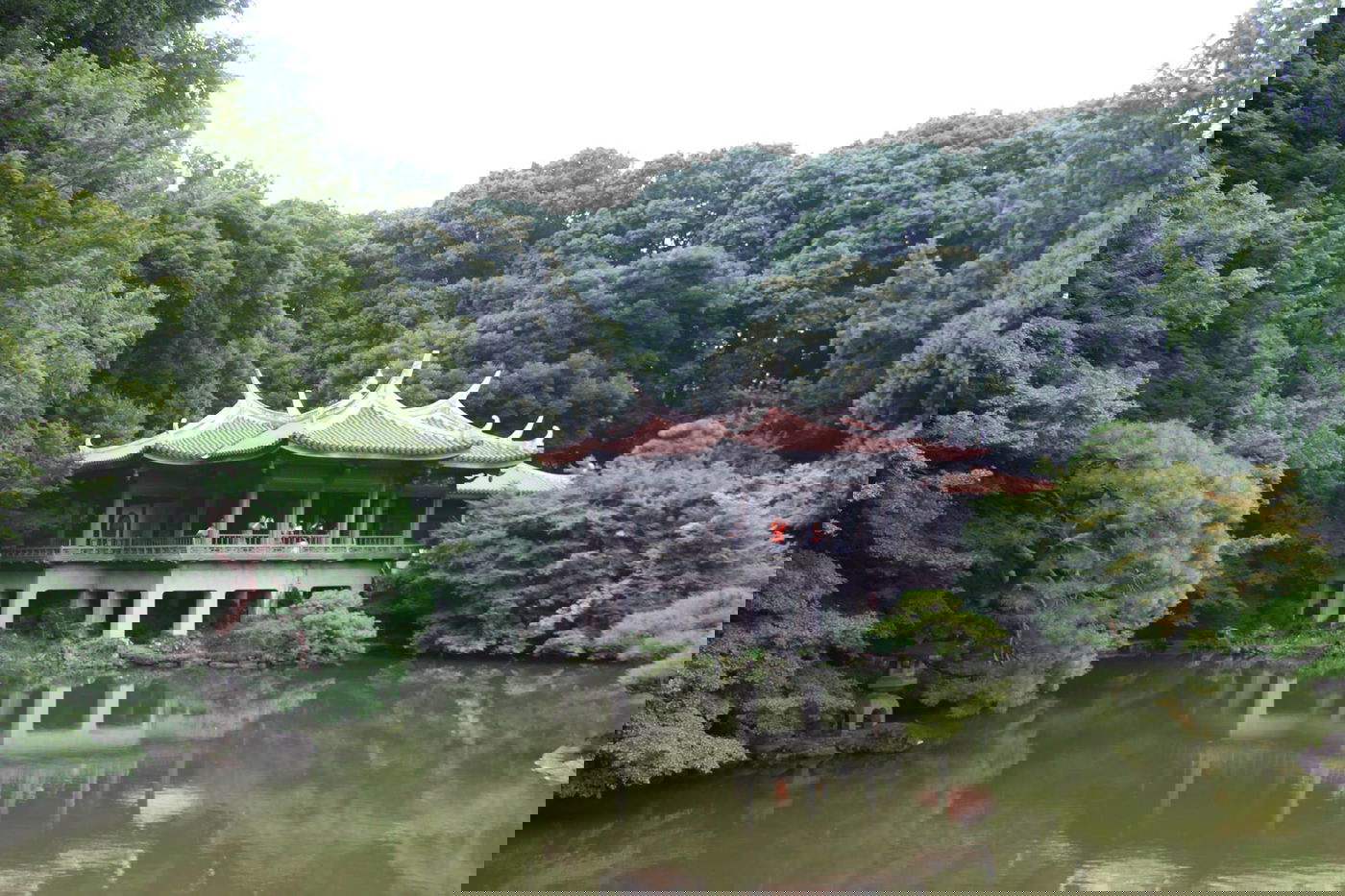 טיול מצולם ליפן המרהיבה: גלריה ענקית