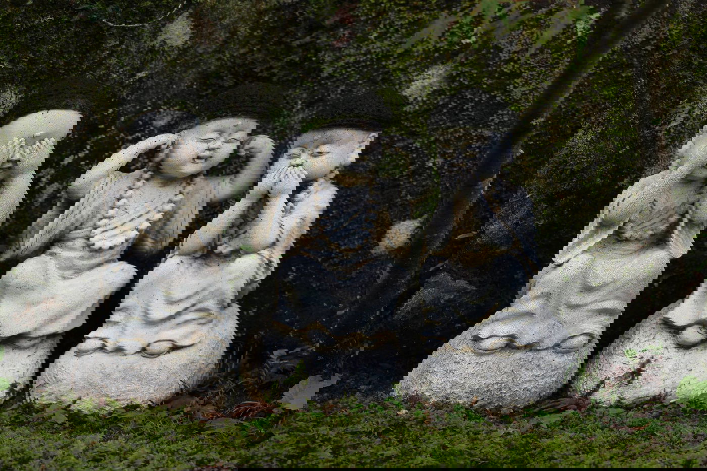 טיול מצולם ליפן המרהיבה: גלריה ענקית