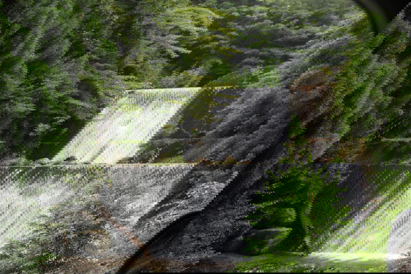 טיול מצולם ליפן המרהיבה: גלריה ענקית