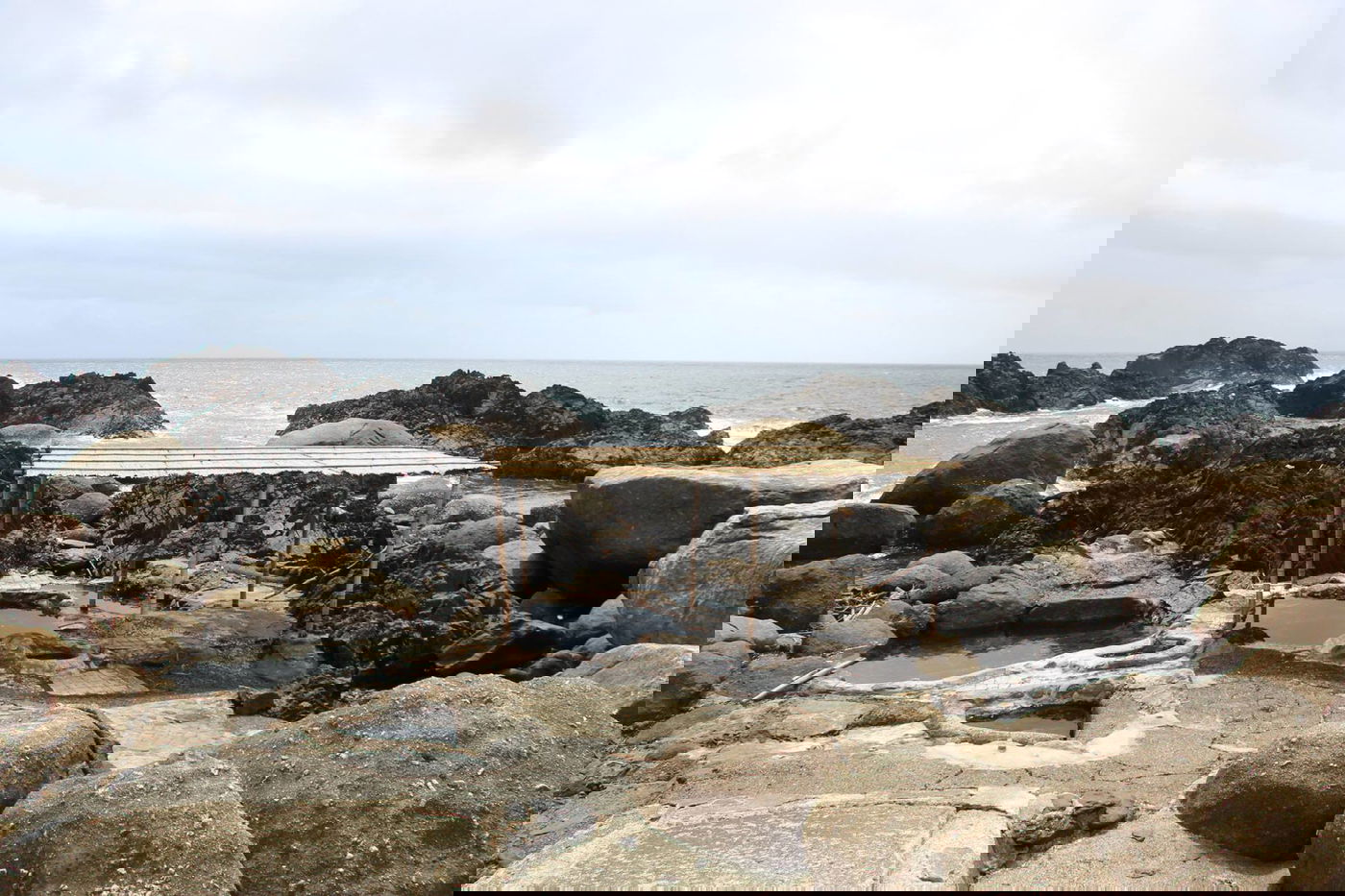 טיול מצולם ליפן המרהיבה: גלריה ענקית