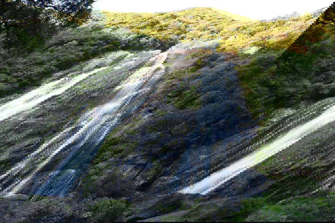 טיול מצולם ליפן המרהיבה: גלריה ענקית