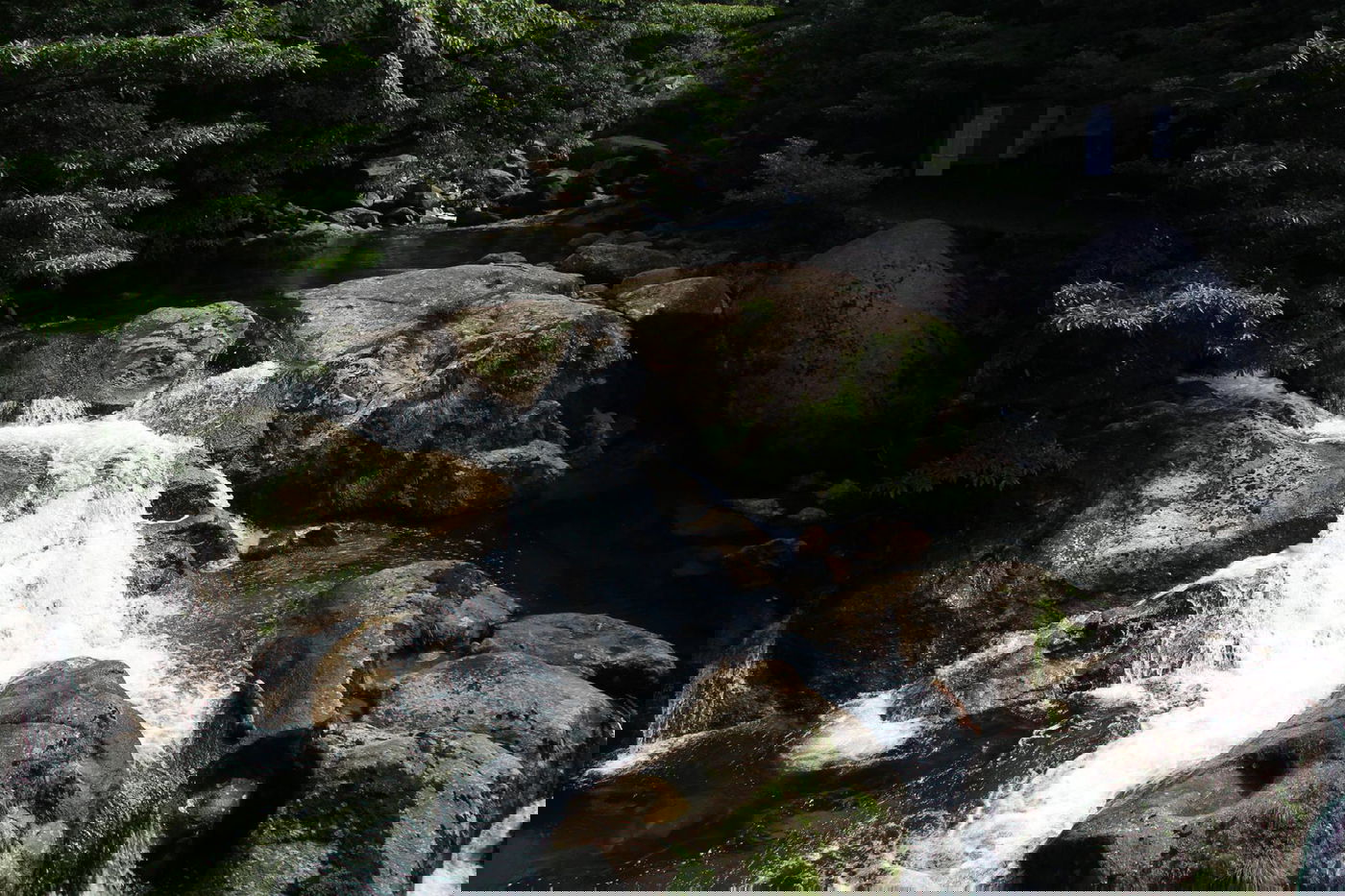 טיול מצולם ליפן המרהיבה: גלריה ענקית