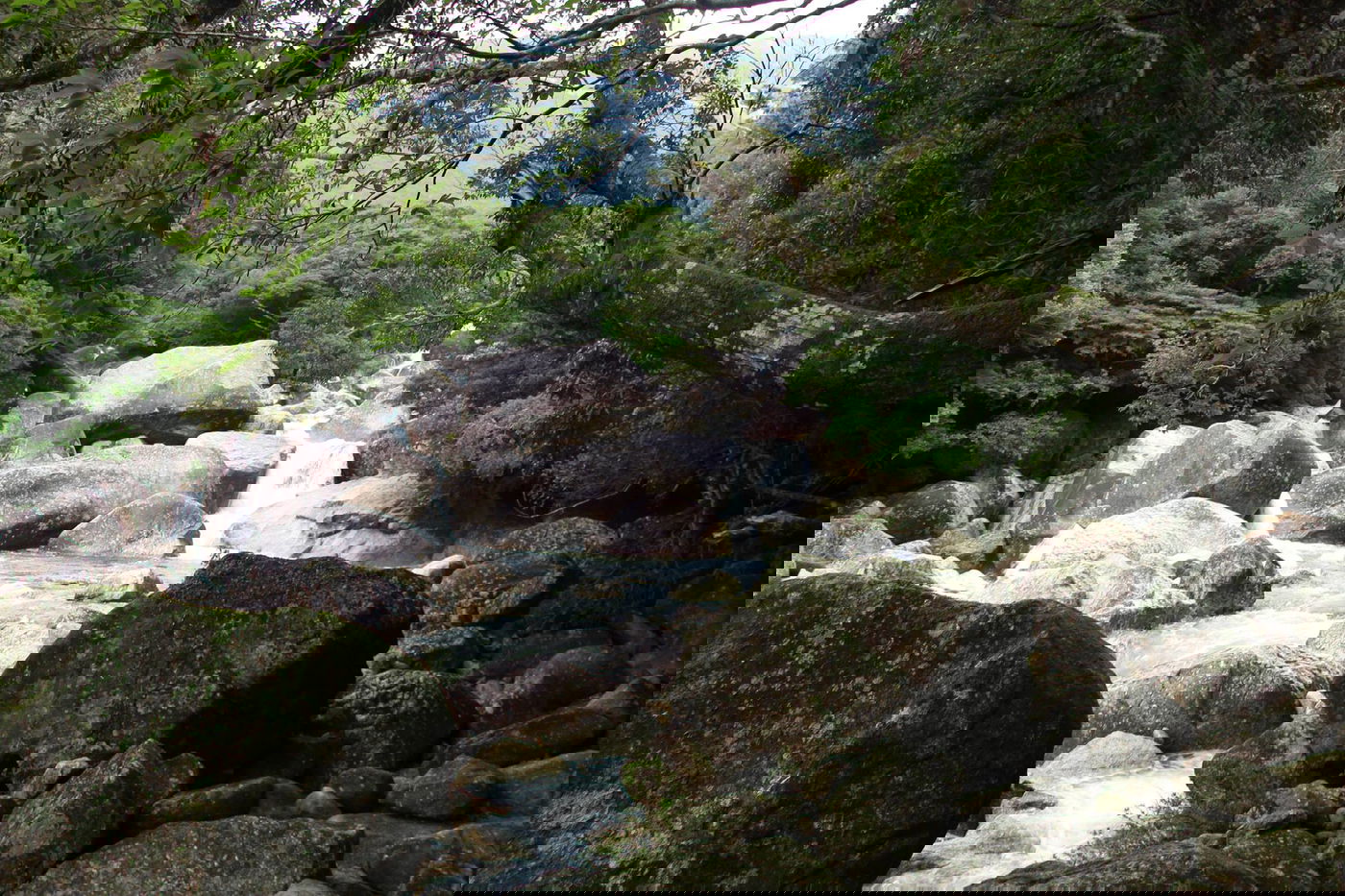 טיול מצולם ליפן המרהיבה: גלריה ענקית