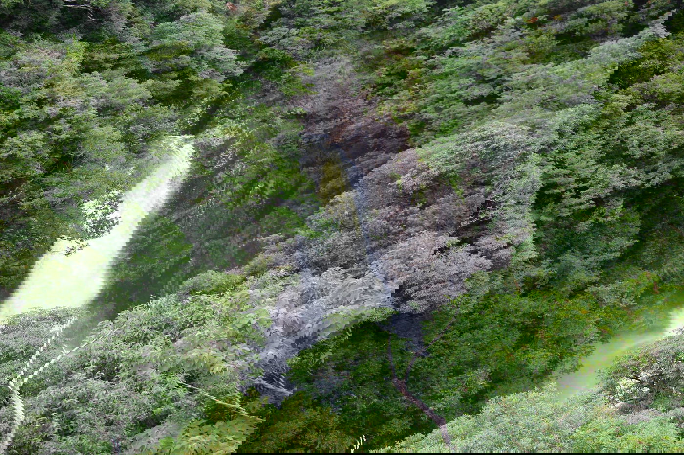 טיול מצולם ליפן המרהיבה: גלריה ענקית