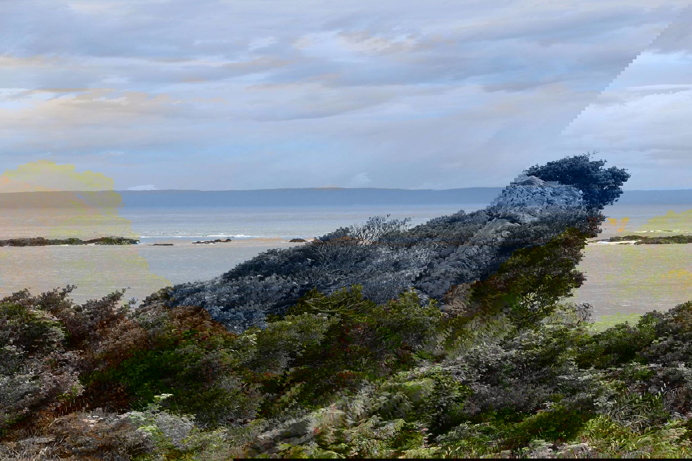 טיול מצולם ליפן המרהיבה: גלריה ענקית