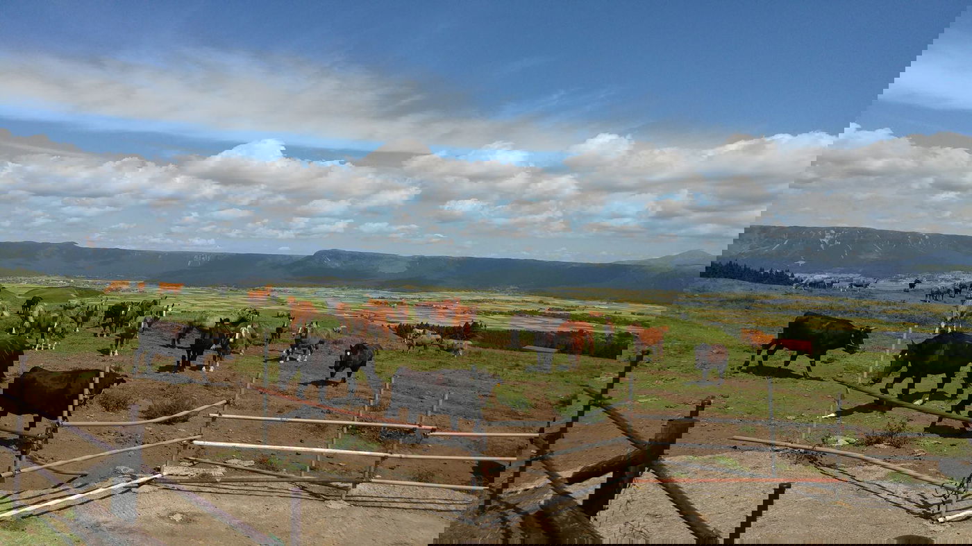 טיול מצולם ליפן המרהיבה: גלריה ענקית