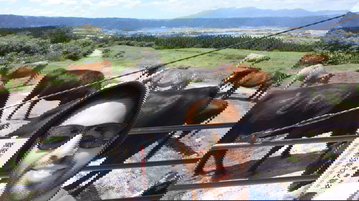 טיול מצולם ליפן המרהיבה: גלריה ענקית