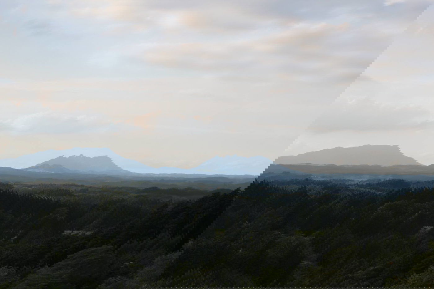 טיול מצולם ליפן המרהיבה: גלריה ענקית