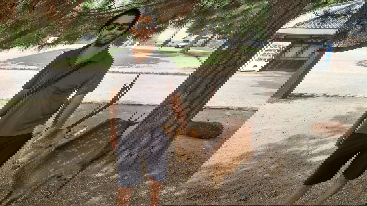 טיול מצולם ליפן המרהיבה: גלריה ענקית