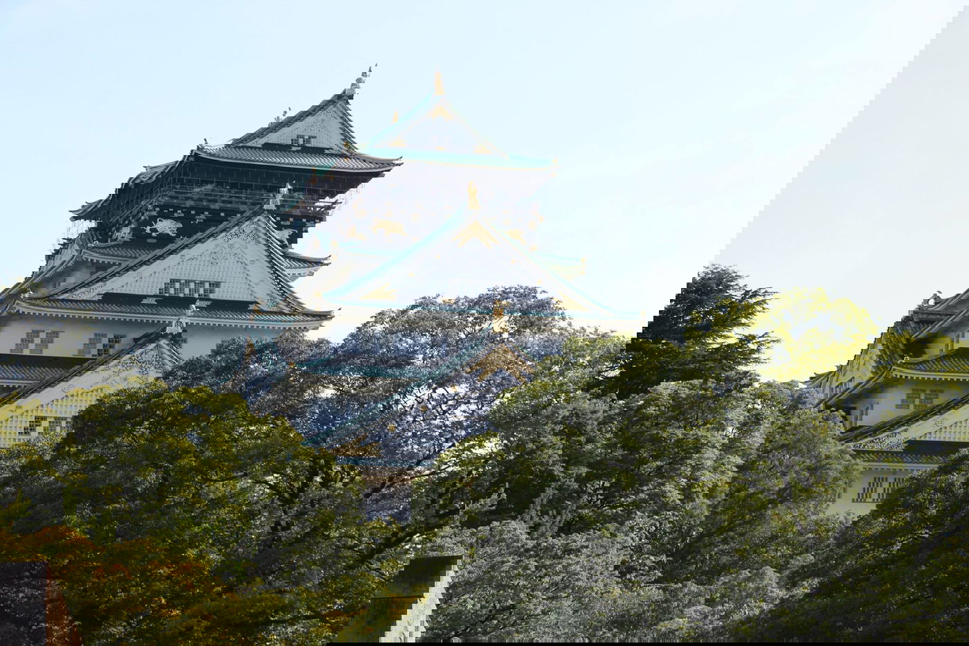 טיול מצולם ליפן המרהיבה: גלריה ענקית