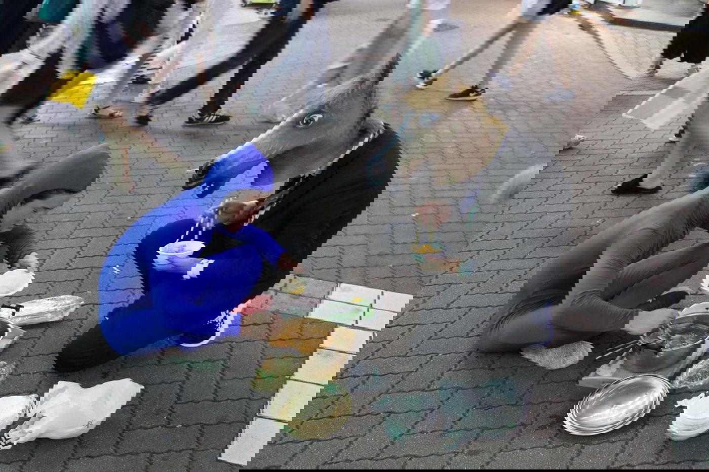 טיול מצולם ליפן המרהיבה: גלריה ענקית