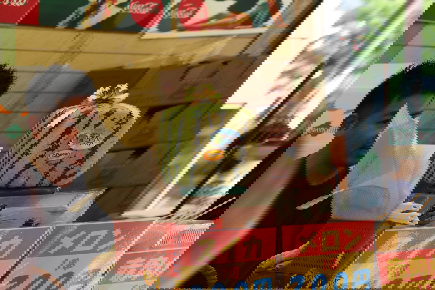 טיול מצולם ליפן המרהיבה: גלריה ענקית