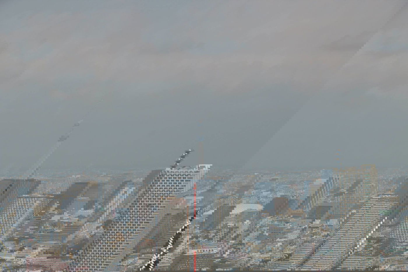 טיול מצולם ליפן המרהיבה: גלריה ענקית