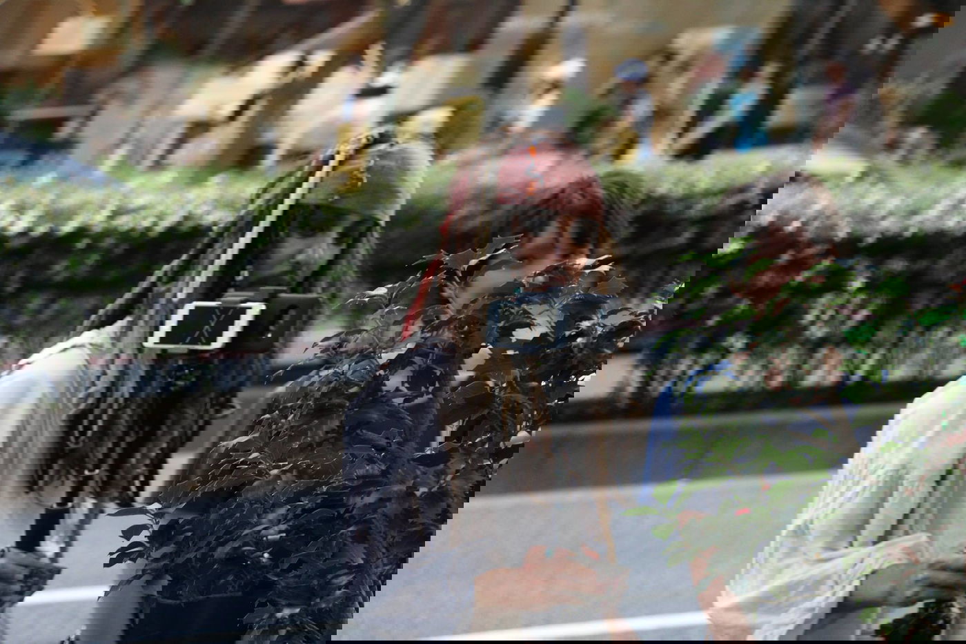 טיול מצולם ליפן המרהיבה: גלריה ענקית